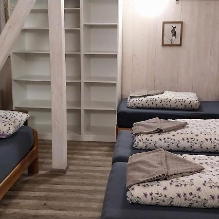 Ski Apartmany Nymburska Chata Pec pod Sněžkou Extérieur photo